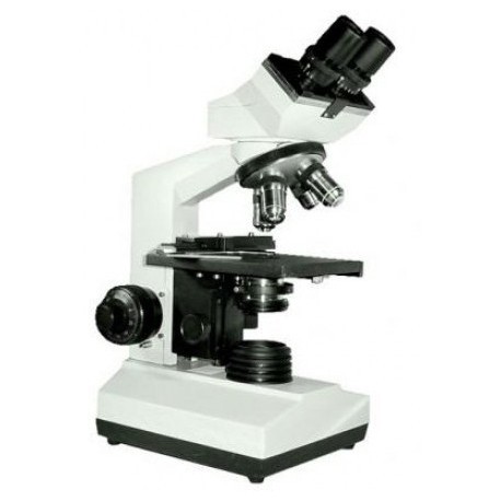 Microscope binoculaire x1600